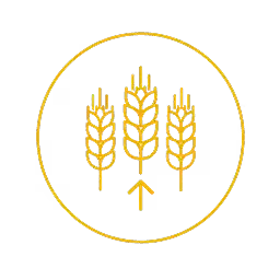 Icon with three stylized golden wheat stalks inside a gold circular border, with a small upward arrow below the center stalk.