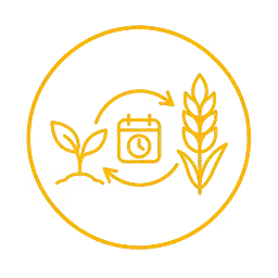 Orange line icon showing a seedling on the left, a clock in the center, and a mature wheat stalk on the right, all connected by circular arrows inside a larger circle, symbolizing agricultural growth and time.